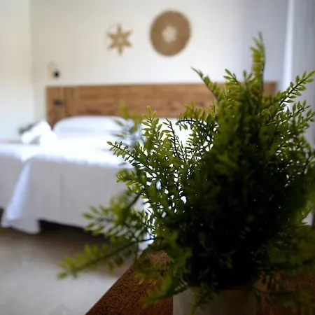 El Corazon De La Saldaña